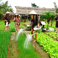 Farming Tour