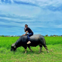 Https://hoianecotravel.com/hoi An Classes And Workshops